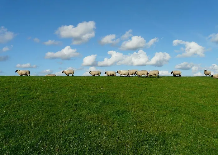 מלון Landquartier Schwesing